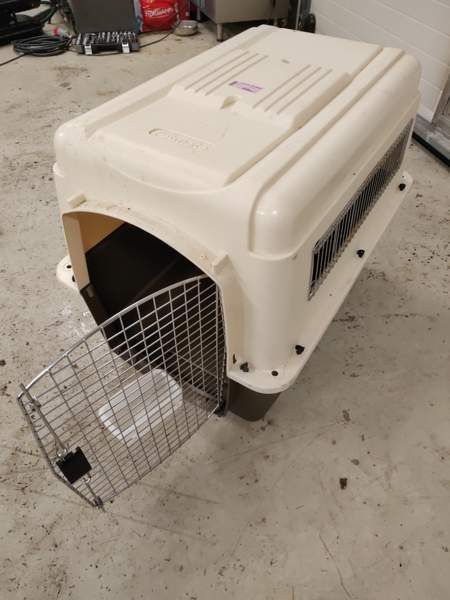 Petmate lentohäkki Orivesi - valokuva 3