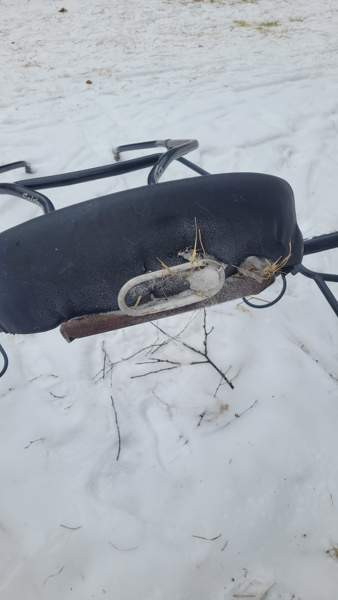 Ravikärryt b-poni Rautjärvi - photo 2