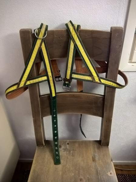 Laadukkaat koiran nailonvahvistetut nahkavaljaat Kangasniemi - photo 1