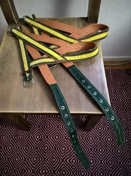 Laadukkaat koiran nailonvahvistetut nahkavaljaat Kangasniemi - photo 2