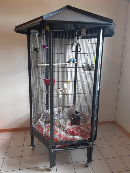 Linnunhäkki Haemeenlinna - photo 1