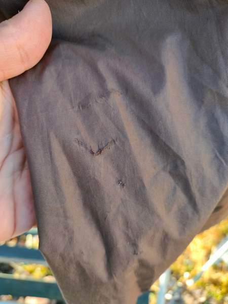 Ruskea Horze ratsastustakki välikauteen XS Sastamala – foto 3