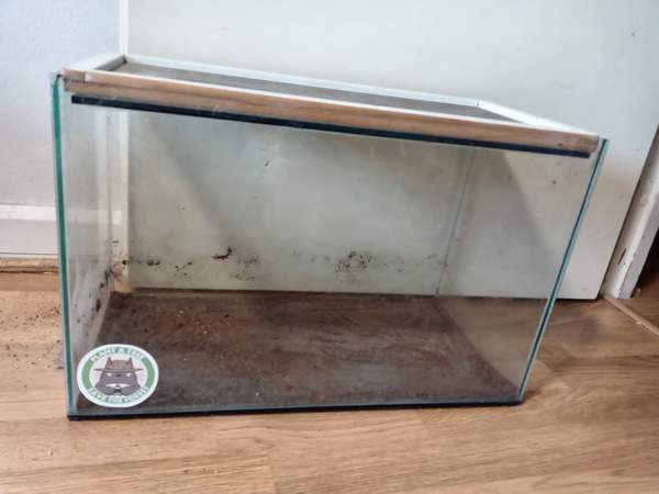 Terraario lasillinen 50×25×30 Espoo - photo 1