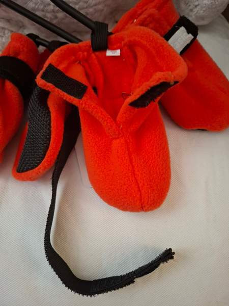 Tossut koiralle, uudet M-koko. Pori - valokuva 1