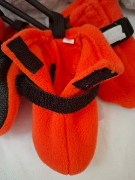 Tossut koiralle, uudet M-koko. Pori - valokuva 4