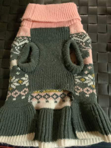 Pikkukoiran neulemekko Oulu - photo 2