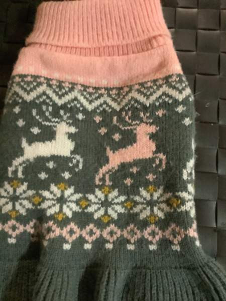 Pikkukoiran neulemekko Oulu - photo 1