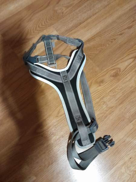 Koiran valjaat bestfrend Helsinki - изображение 1