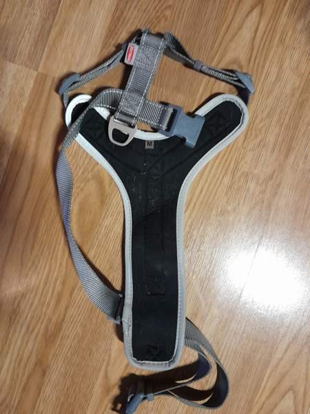 Koiran valjaat bestfrend Helsinki - изображение 3