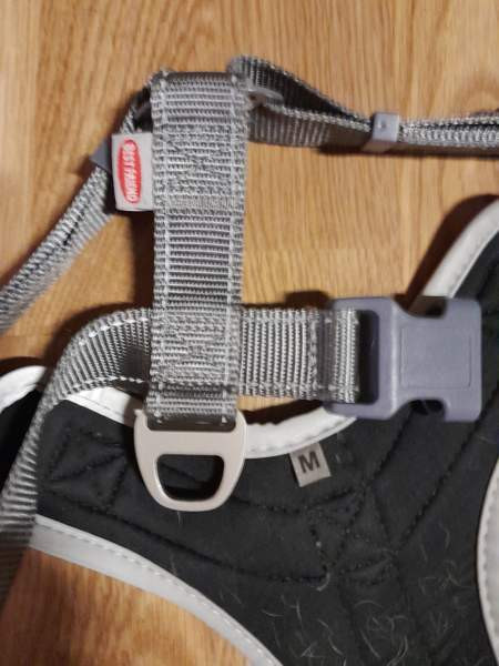 Koiran valjaat bestfrend Helsinki - изображение 2