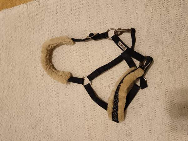 Riimu Forssa – foto 1