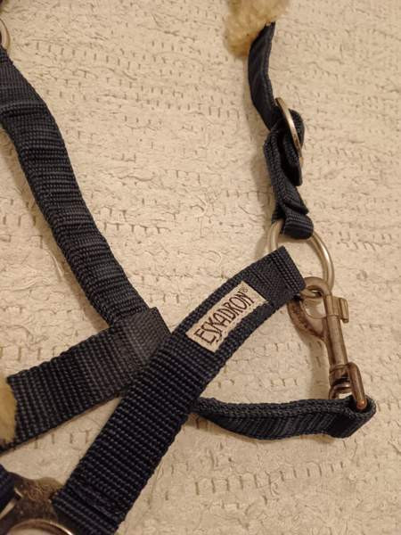 Riimu Forssa – foto 2