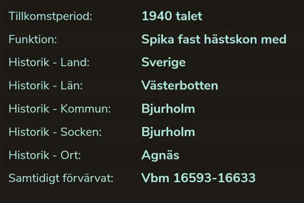 Mustadfors J7 kengitysnaulat 1 kg Raasepori - valokuva 6