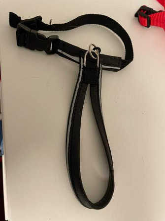 Flexi, furminaattori, kissojen turvavyöt, valjaat, ruokakippoja Espoo - photo 2
