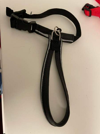 Flexi, furminaattori, kissojen turvavyöt, valjaat, ruokakippoja Espoo - photo 7