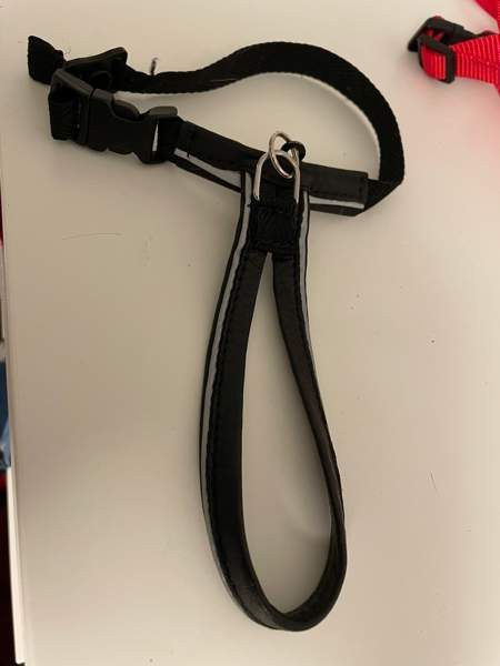 Flexi, furminaattori, kissojen turvavyöt, valjaat, ruokakippoja Espoo - photo 2