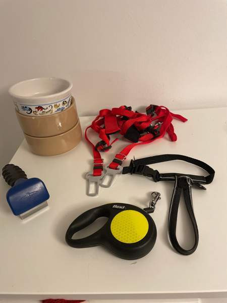 Flexi, furminaattori, kissojen turvavyöt, valjaat, ruokakippoja Espoo - photo 1