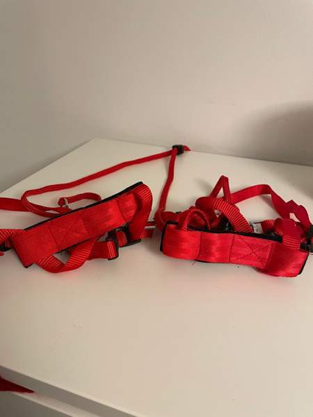 Flexi, furminaattori, kissojen turvavyöt, valjaat, ruokakippoja Espoo - photo 5