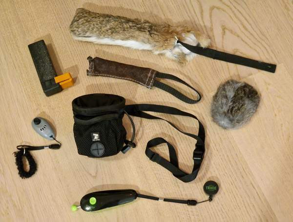 Koiran kouluttajan salaiset aseet Jaervenpaeae – foto 1