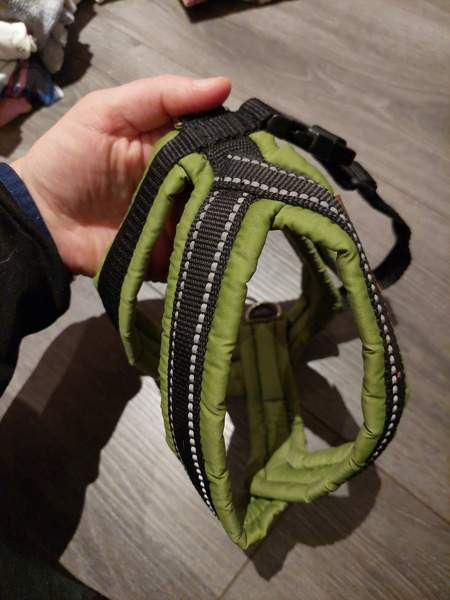 Koiran valjas Vantaa - photo 3