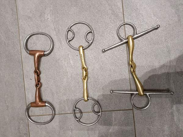 Kuolaimia,korvahuppu Espoo - valokuva 2