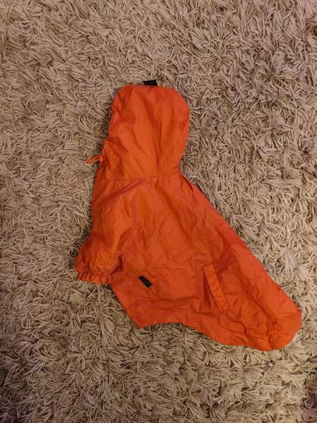 Puppia, koiran sadetakki, oranssi Järvenpää - valokuva 1