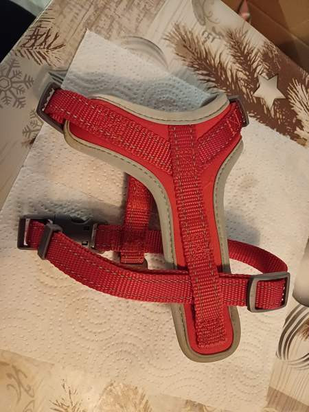 Bestfriend valjaat xs Kannonkoski - photo 2