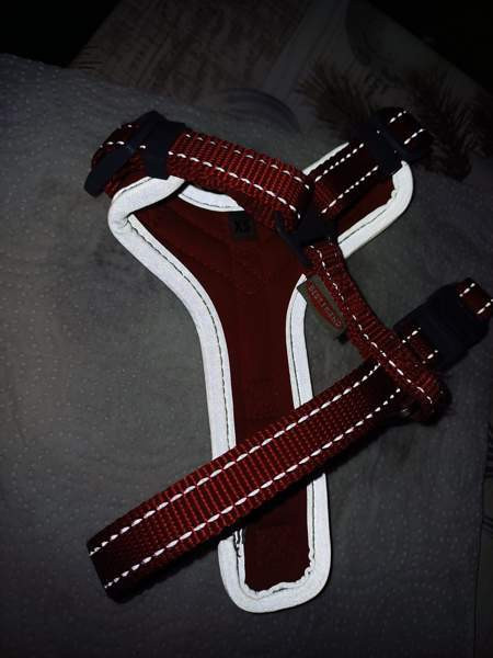 Bestfriend valjaat xs Kannonkoski - photo 4