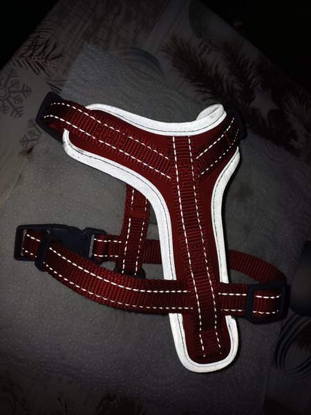 Bestfriend valjaat xs Kannonkoski - photo 3