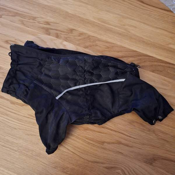 Feelactive sadehaalari, 25 Лаппенранта - изображение 1