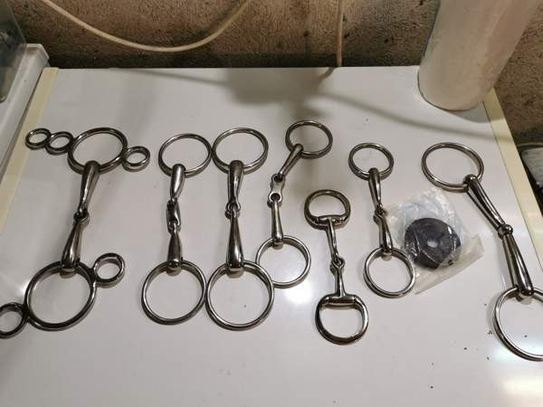 Kuolaimia Кангасала - изображение 1