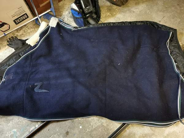 Villaloimi Kangasala - valokuva 1