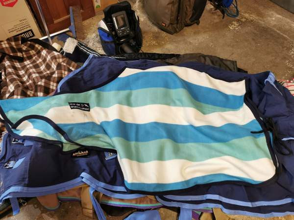 Pyllyloimi Кангасала - изображение 1