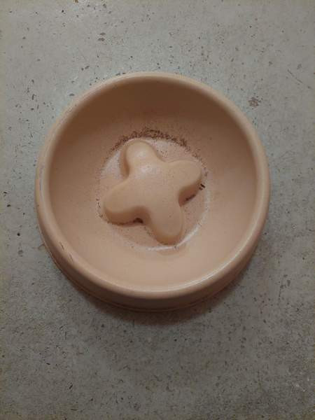 Iso koirankuppi Kontiolahti - photo 1