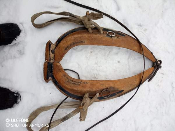 länget Toivakka - valokuva 1