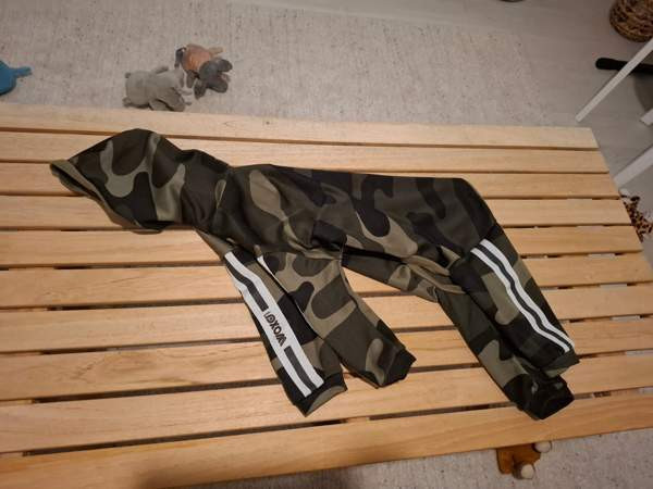 Koiran haalari Raahe - photo 1