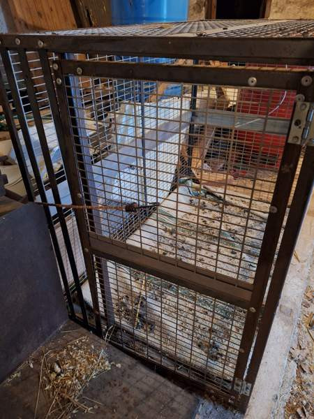 Koiran kuljetushäkki XL Liperi - photo 2