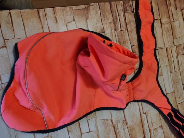 Koiran talvivaate Kaarina - photo 1