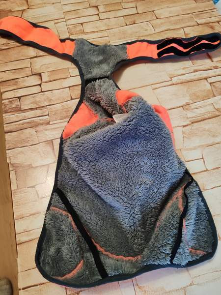 Koiran talvivaate Kaarina - photo 2