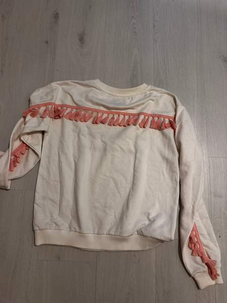 House of horses Helsinki Lohja - valokuva 3