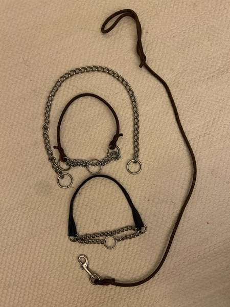 Näyttelypannat+hihna Vantaa - photo 1