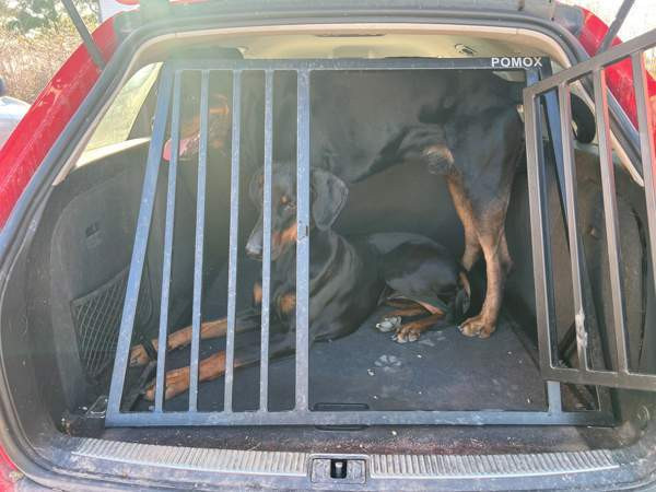 Koiraveräjä Pomox Kokemäki - photo 1