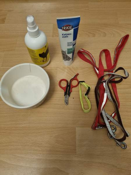 Kissalle Järvenpää - valokuva 1