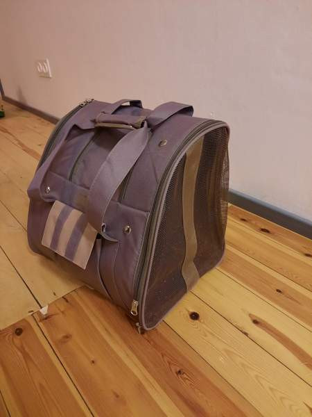 Kissan kantoreppu Ylivieska - valokuva 1