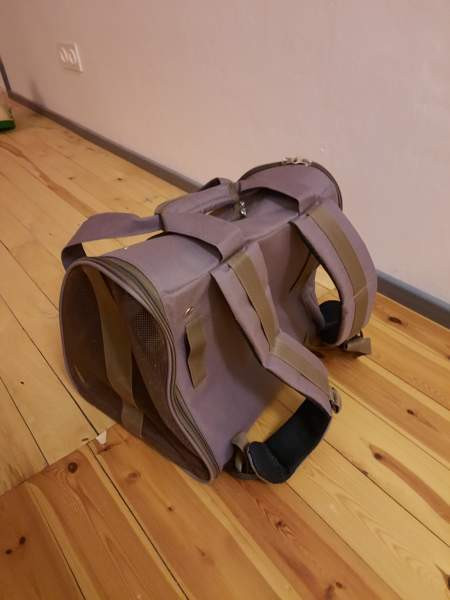 Kissan kantoreppu Ylivieska - valokuva 3