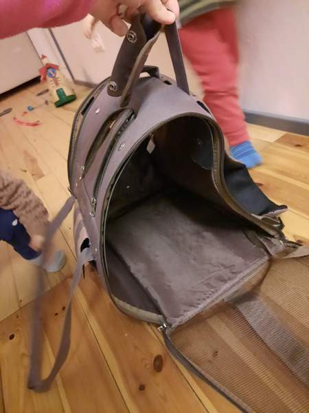 Kissan kantoreppu Ylivieska - valokuva 4