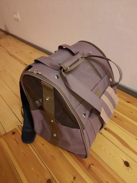 Kissan kantoreppu Ylivieska - valokuva 2