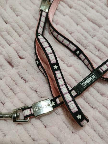 Talutin pienelle koiralle Alajärvi - photo 2