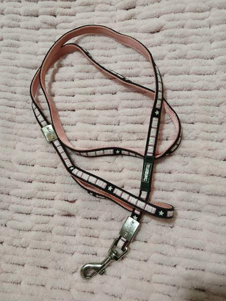 Talutin pienelle koiralle Alajärvi - photo 1