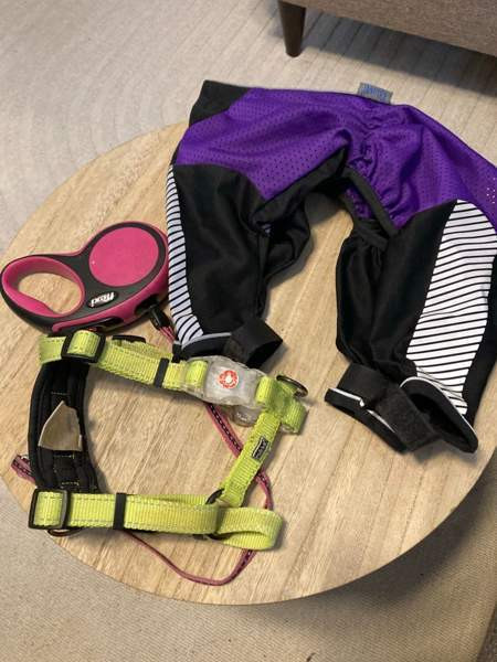 Koiran tarvikepaketti Oulu - photo 1